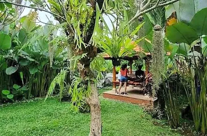 Dsari Undisan At Desa Wisata Undisan * バリ島