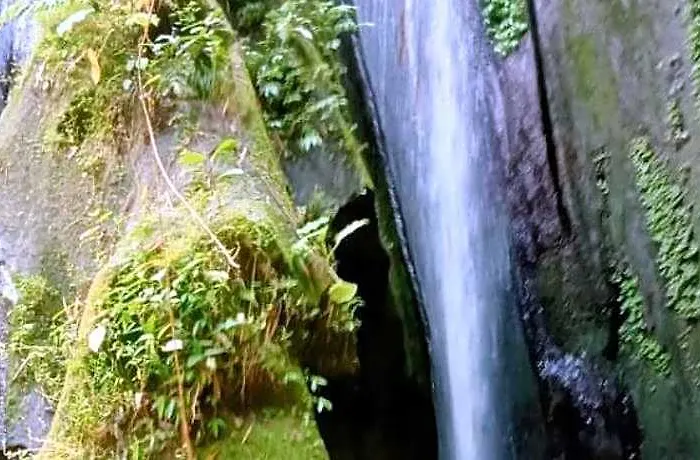 Dsari Undisan At Desa Wisata Undisan