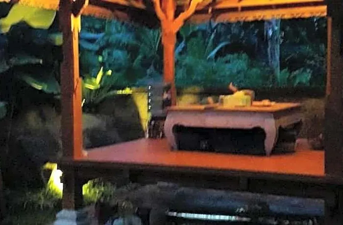 Dsari Undisan At Desa Wisata Undisan * バリ島